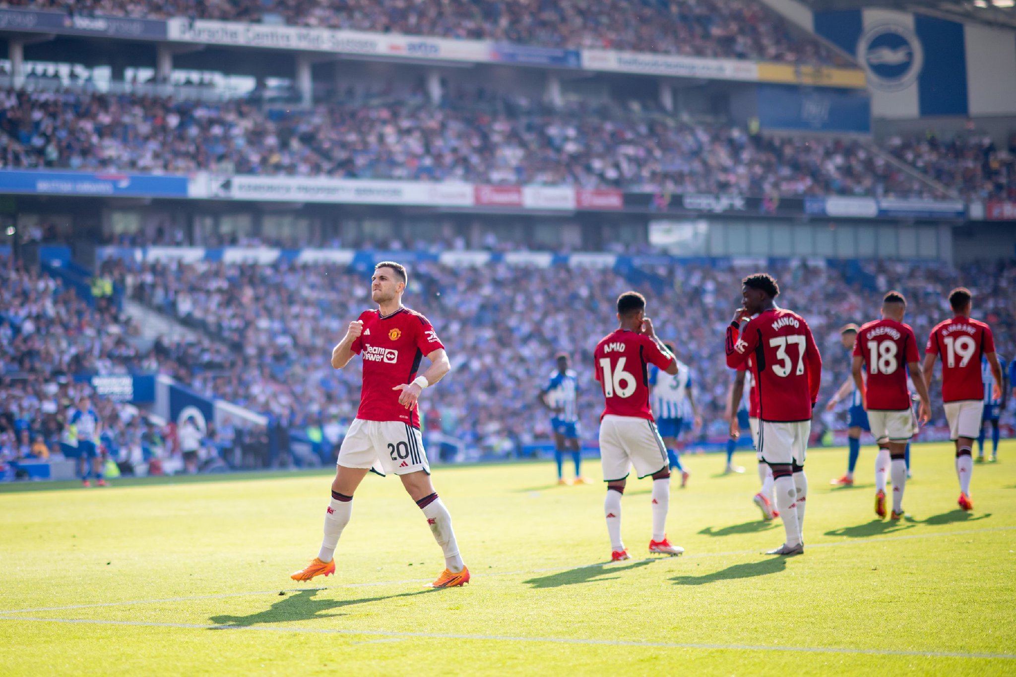 的典型代表 的典型代表